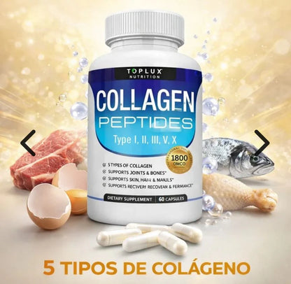 COLAGENO PEPTIDES I, II, III, IV y V